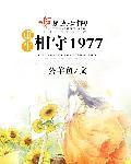 重生相守1977结局