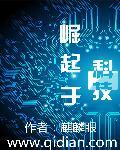 崛起于科技txt