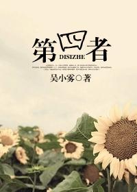 第四者跟你有段情歌词是什么意思